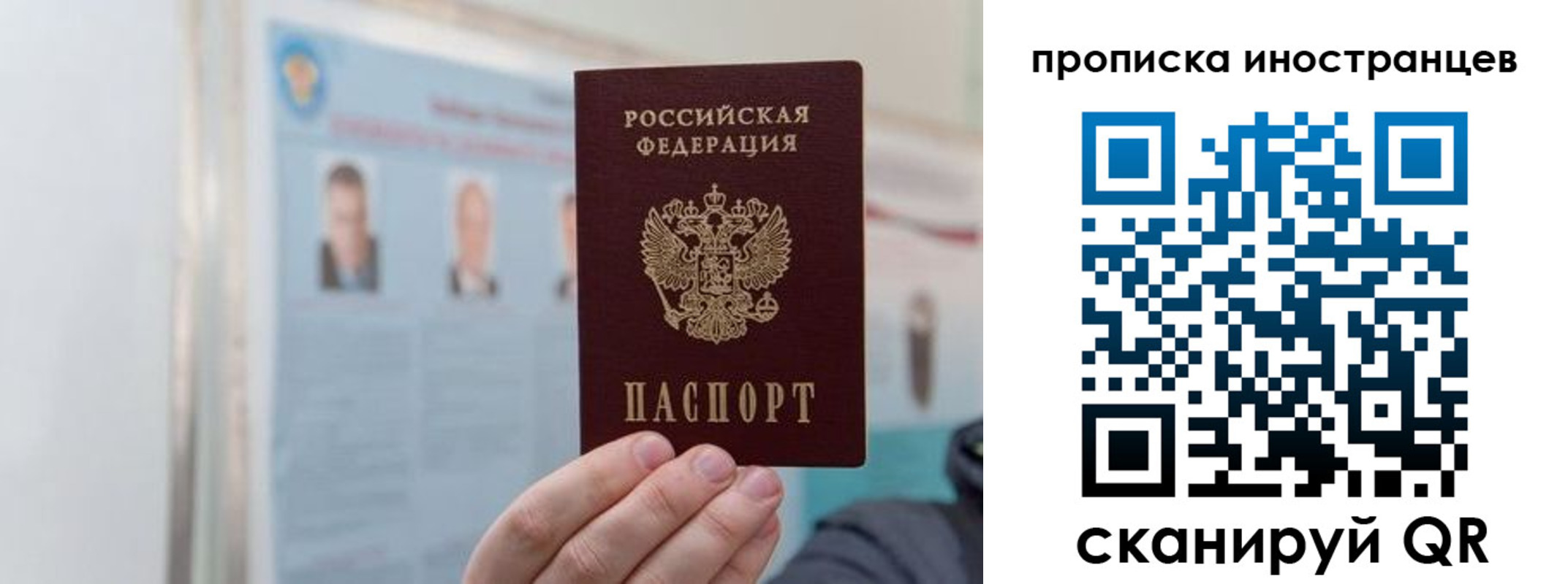 прописка паспорт в Вязьме